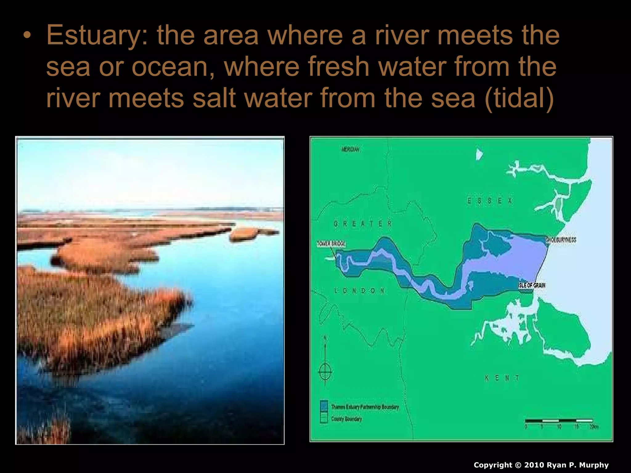 • Estuary: the area where a river meets the
sea or ocean, where fresh water from the
river meets salt water from the sea (tidal)
Copyright © 2010 Ryan P. Murphy
 