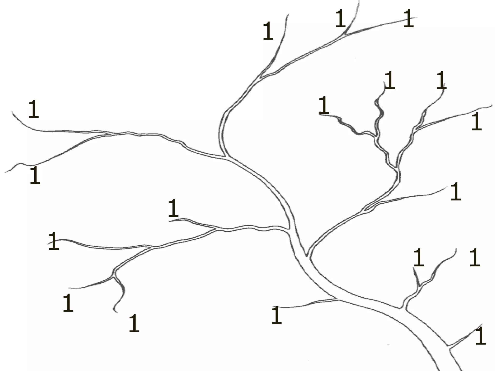 1
1
1
1
1
1
1
1
1
1
1 1
1
1
1 1
1 1
 