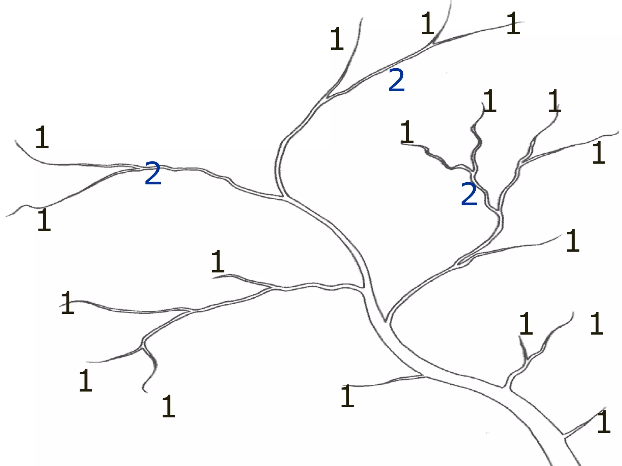 1
1
1
1
1
1
1
1
1
1
1 1
1
1
1 1
1 1
2
2
2 2
 