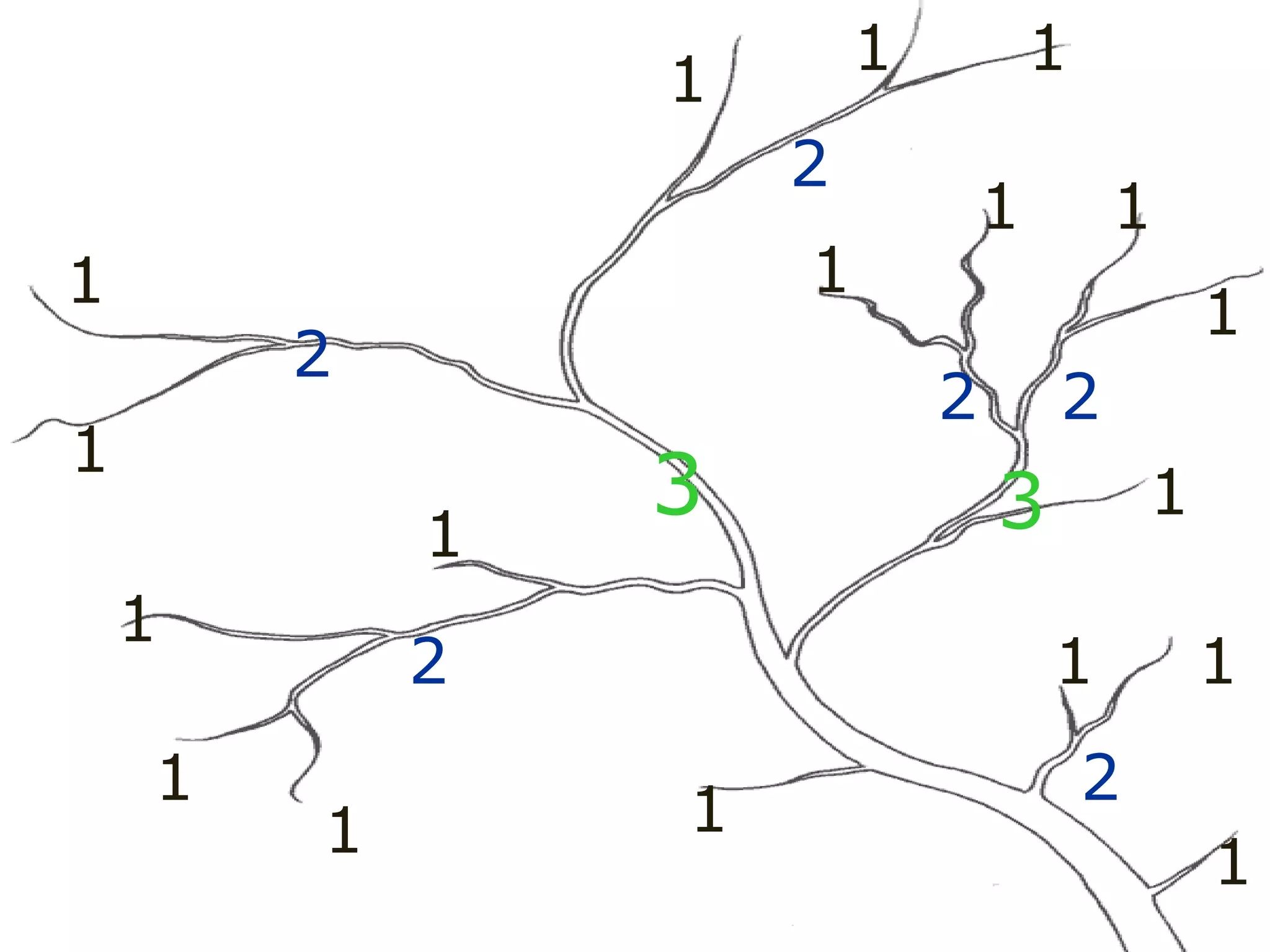 1
1
1
1
1
1
1
1
1
1
1 1
1
1
1 1
1 1
2
2
2 2
2
2
2
3 3
 