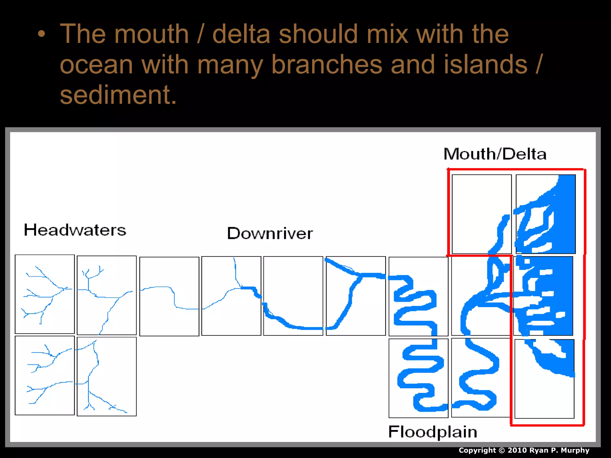 • The mouth / delta should mix with the
ocean with many branches and islands /
sediment.
Copyright © 2010 Ryan P. Murphy
 