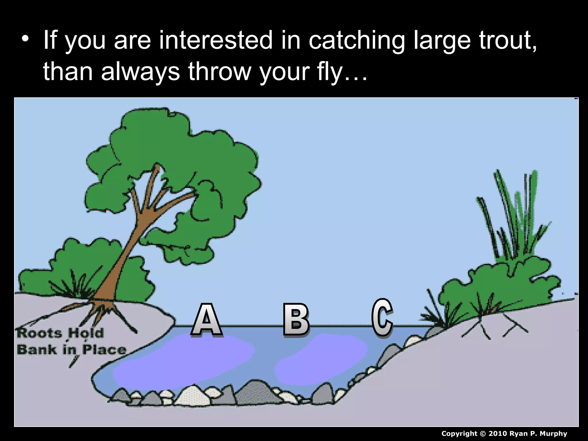 • If you are interested in catching large trout,
than always throw your fly…
Copyright © 2010 Ryan P. Murphy
 