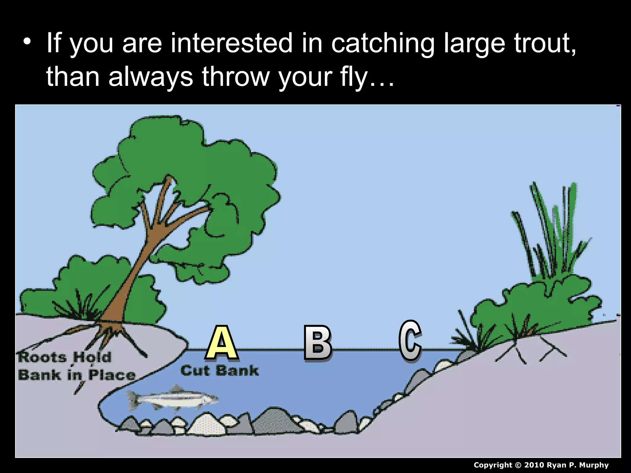 • If you are interested in catching large trout,
than always throw your fly…
Copyright © 2010 Ryan P. Murphy
 