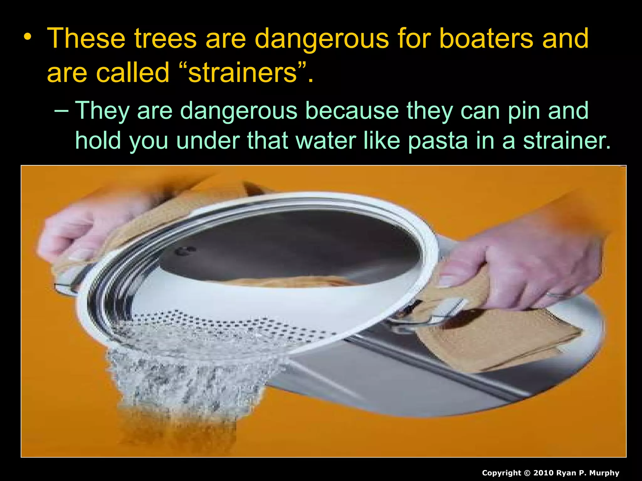 • These trees are dangerous for boaters and
are called “strainers”.
– They are dangerous because they can pin and
hold you under that water like pasta in a strainer.
Copyright © 2010 Ryan P. Murphy
 