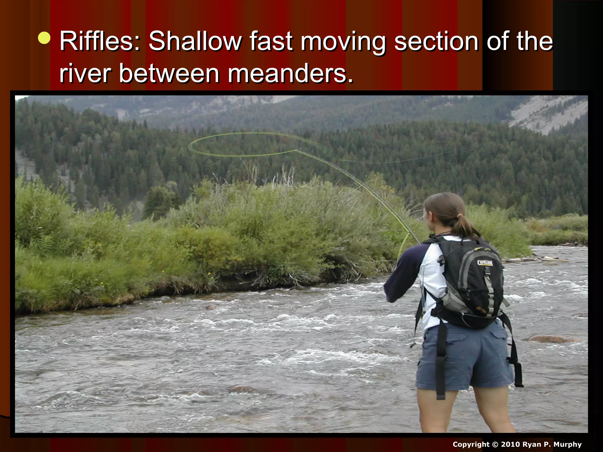 Riffles: Shallow fast moving section of theRiffles: Shallow fast moving section of the
river between meanders.river between meanders.
Copyright © 2010 Ryan P. Murphy
 
