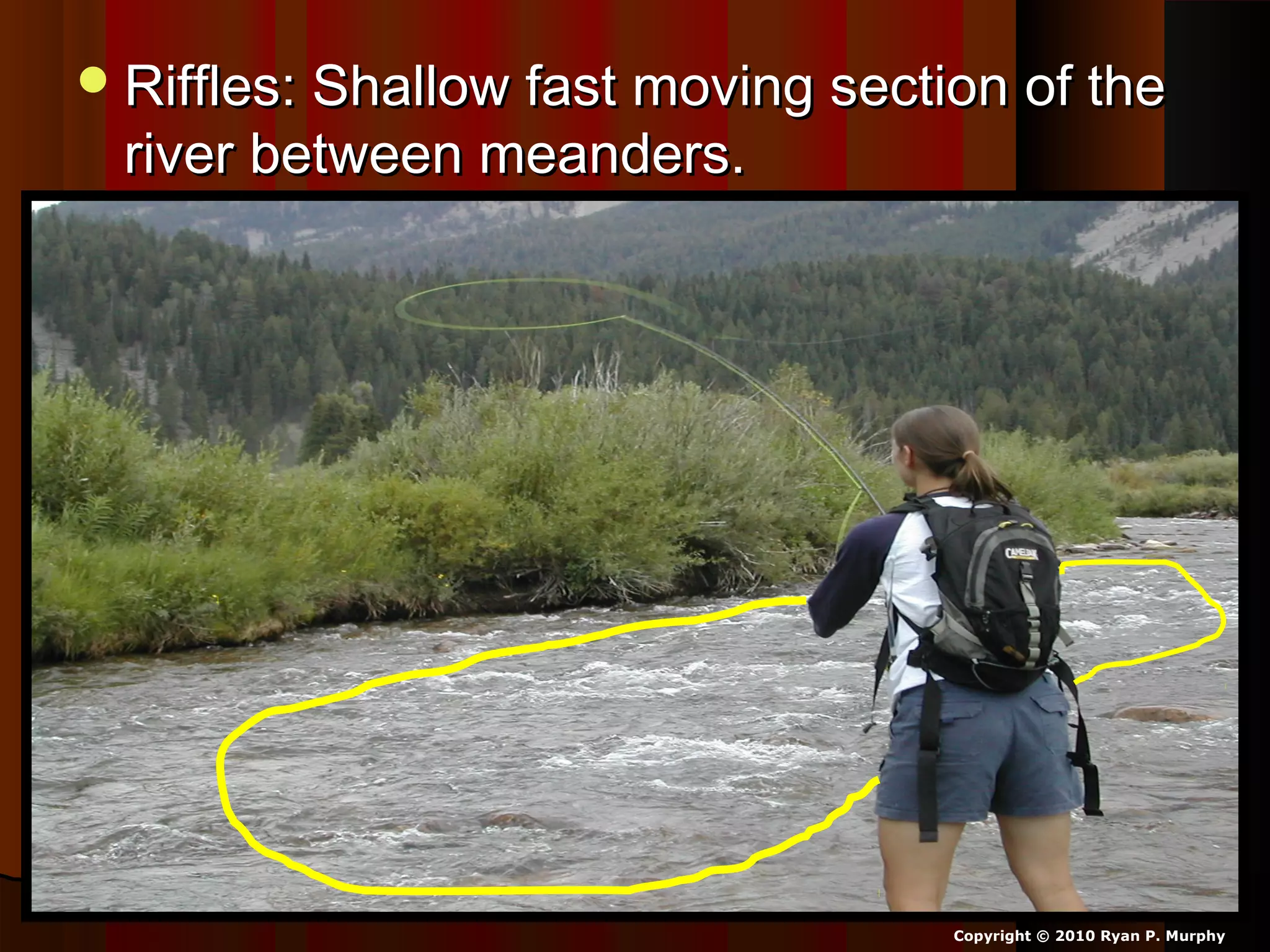 Riffles: Shallow fast moving section of theRiffles: Shallow fast moving section of the
river between meanders.river between meanders.
Copyright © 2010 Ryan P. Murphy
 