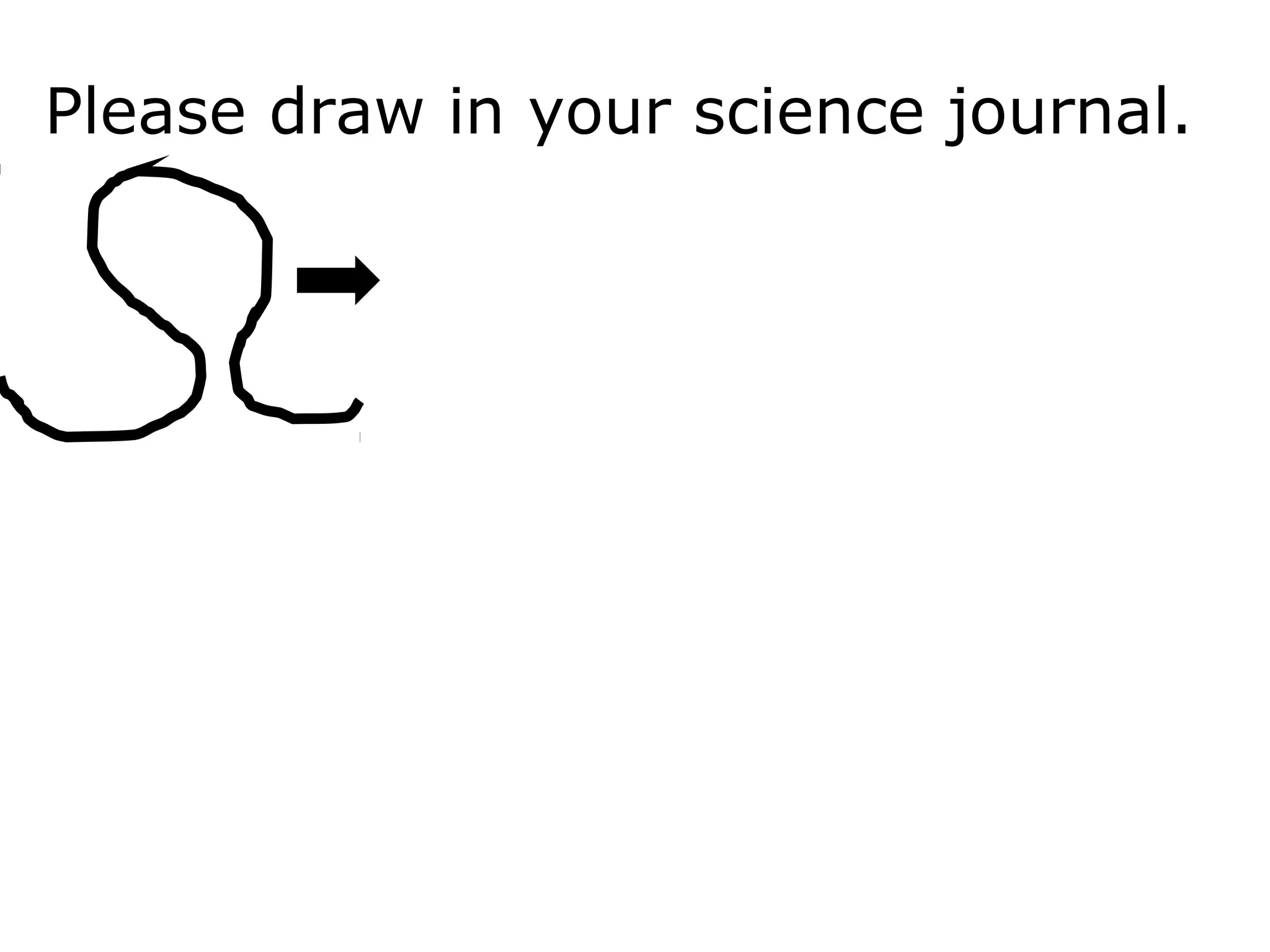 Please draw in your science journal.
 