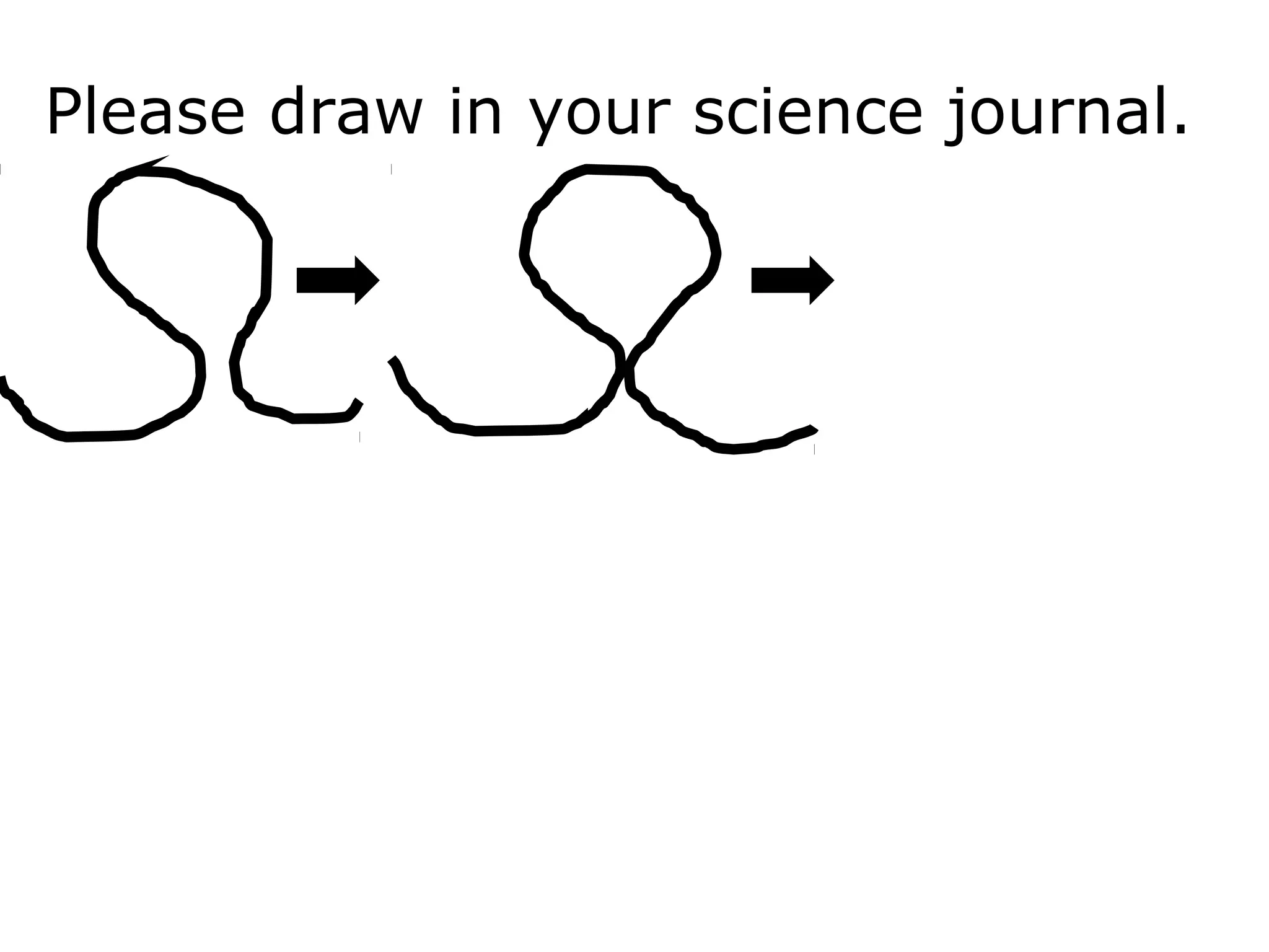 Please draw in your science journal.
 