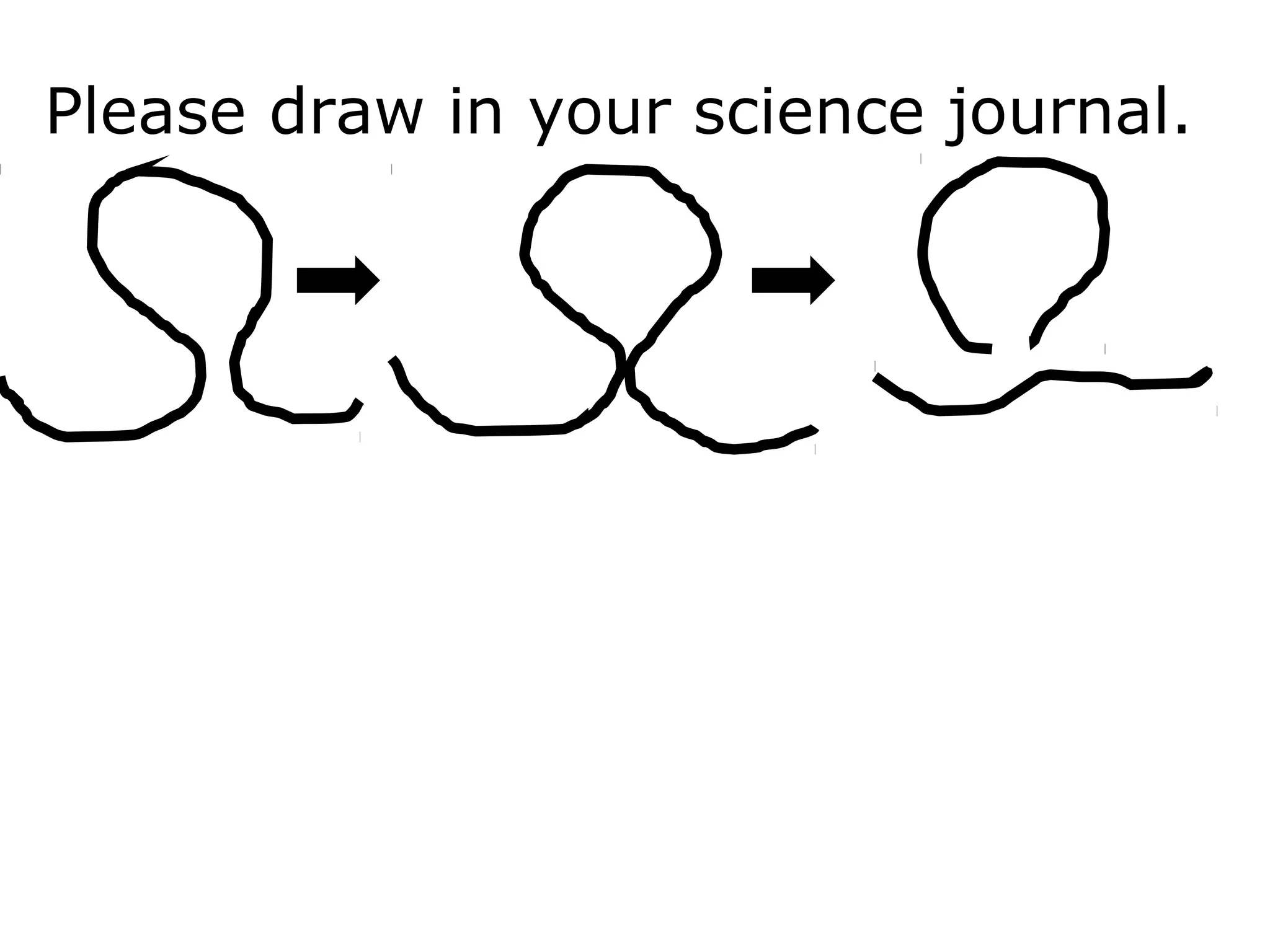 Please draw in your science journal.
 