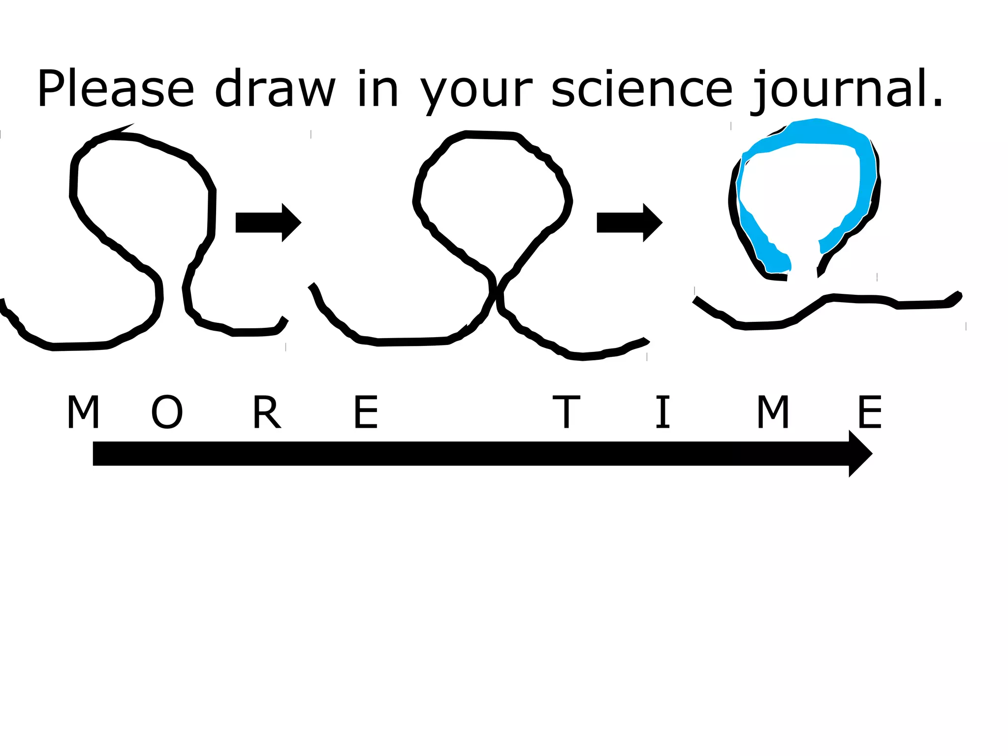 Please draw in your science journal.
M O R E T I M E
 