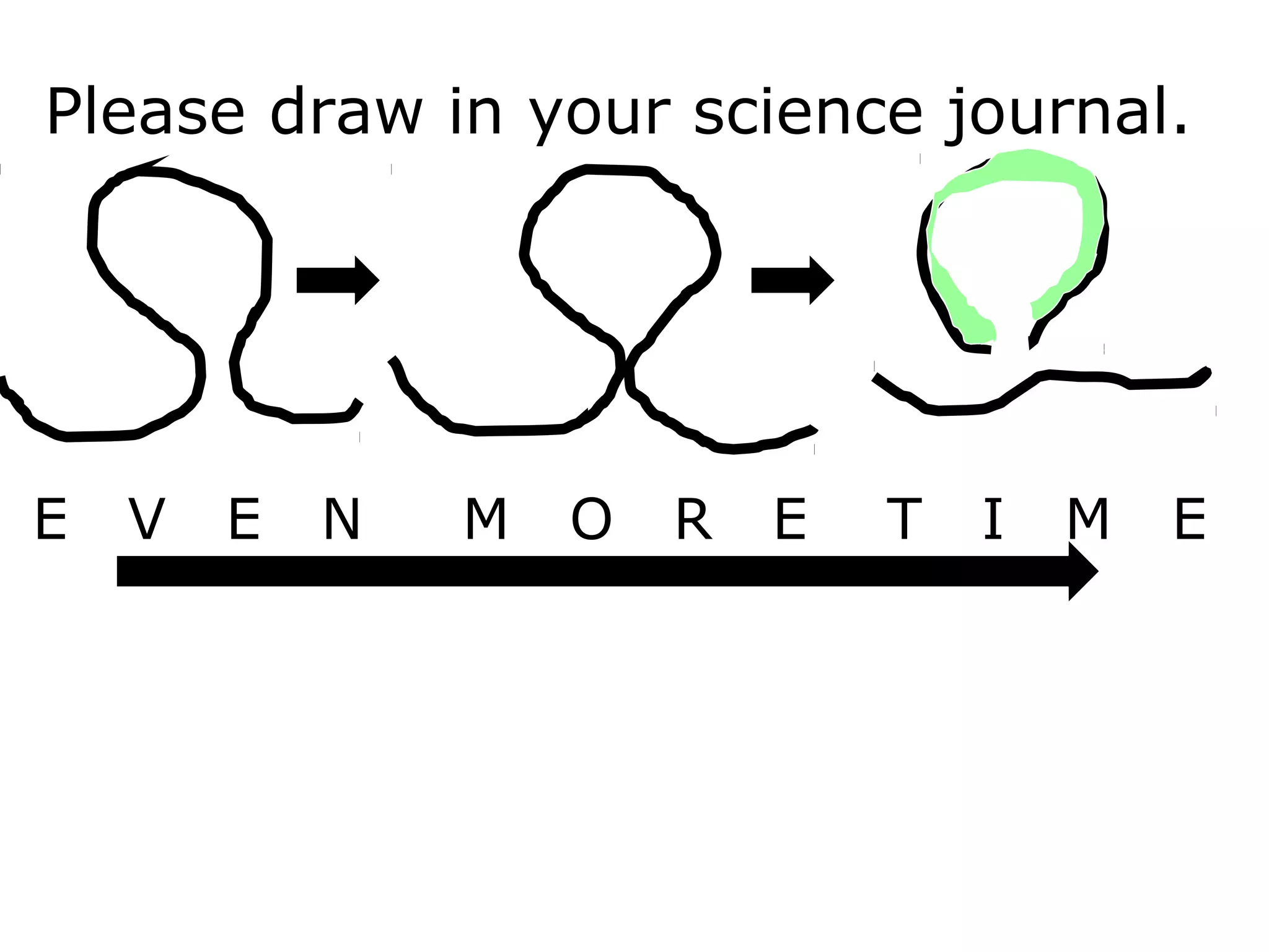 Please draw in your science journal.
E V E N M O R E T I M E
 