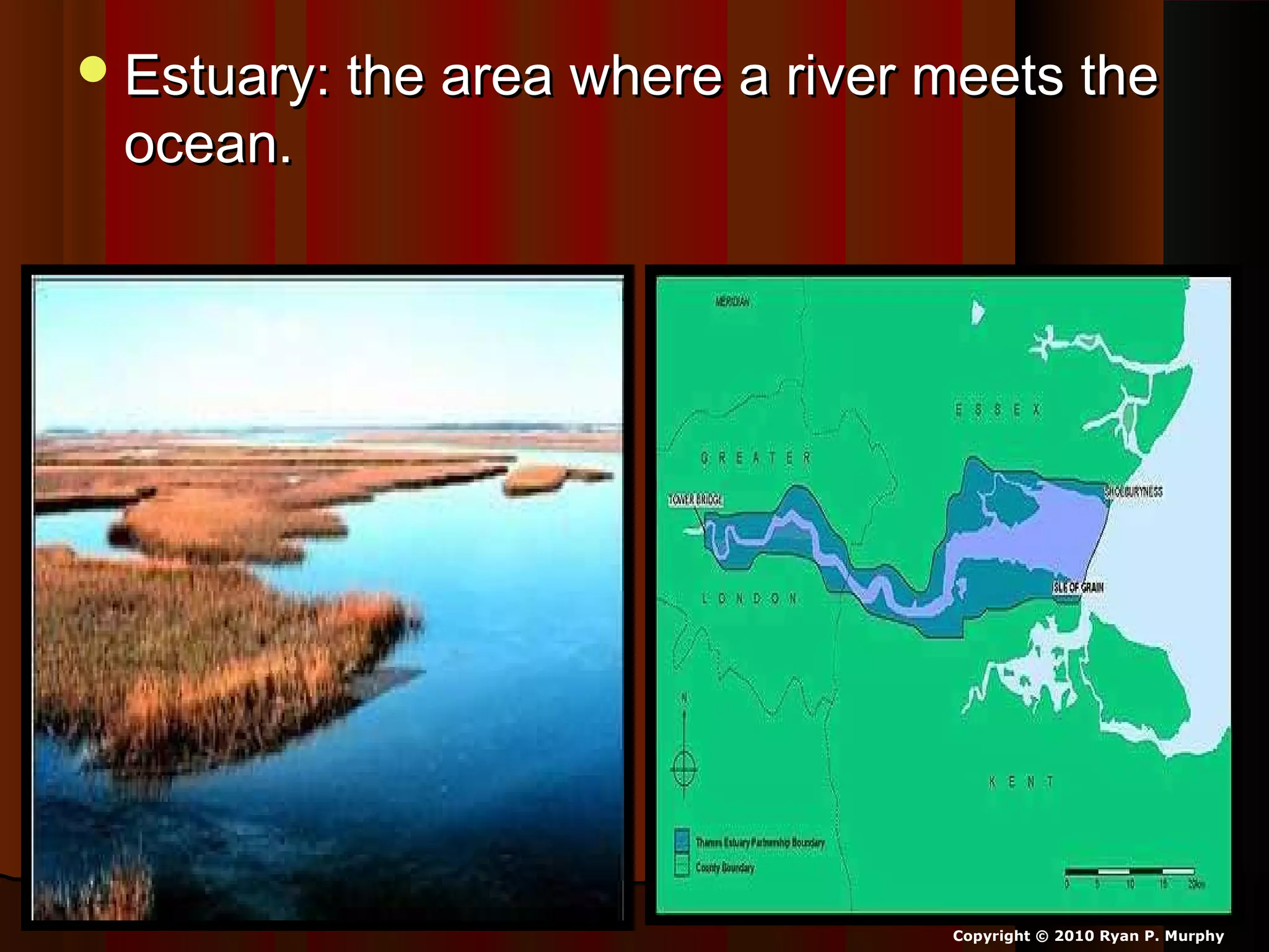 Estuary: the area where a river meets theEstuary: the area where a river meets the
ocean.ocean.
Copyright © 2010 Ryan P. Murphy
 