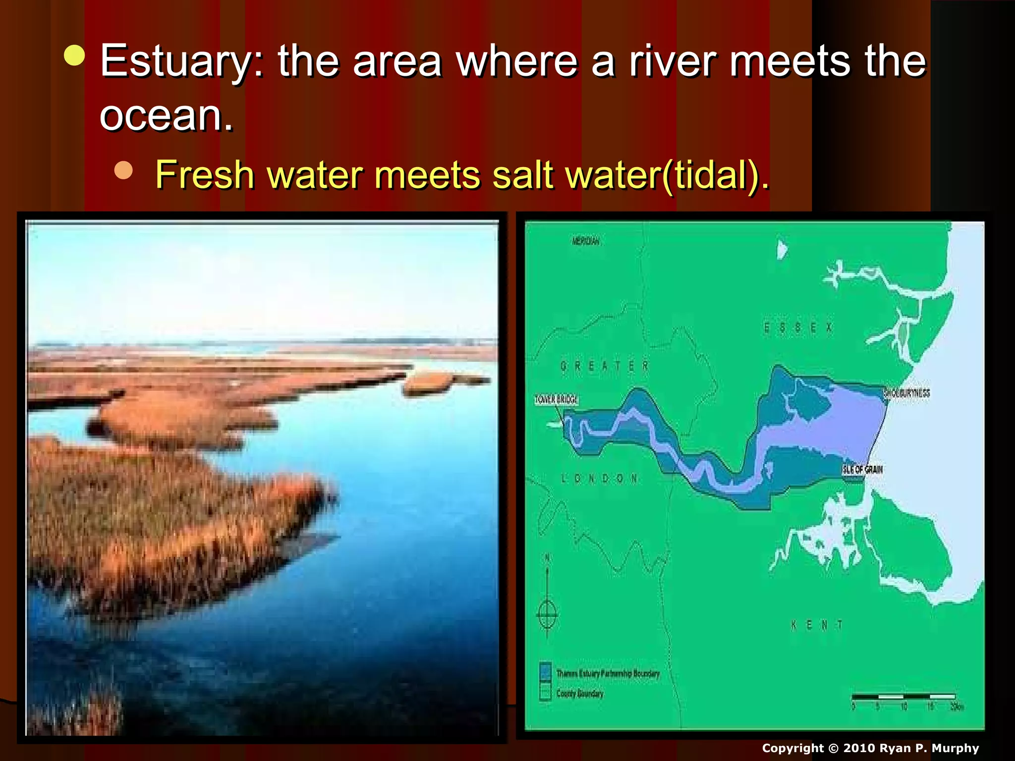 Estuary: the area where a river meets theEstuary: the area where a river meets the
ocean.ocean.
 Fresh water meets salt water(tidal).Fresh water meets salt water(tidal).
Copyright © 2010 Ryan P. Murphy
 