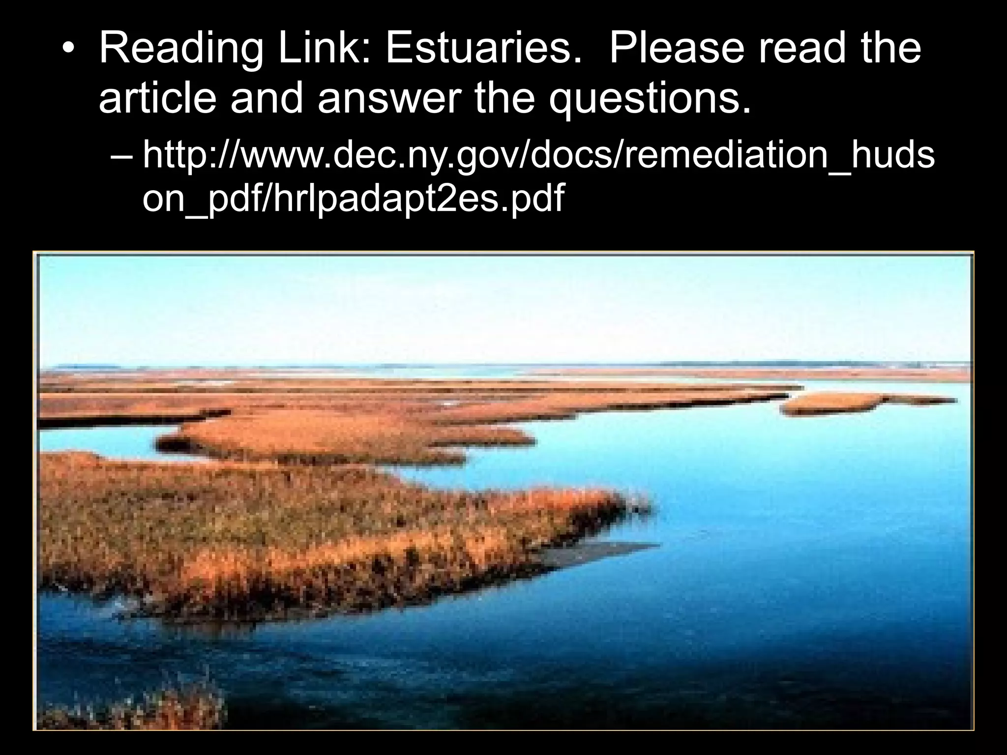 • Reading Link: Estuaries. Please read the
article and answer the questions.
– http://www.dec.ny.gov/docs/remediation_huds
on_pdf/hrlpadapt2es.pdf
 