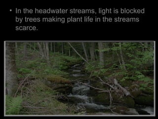 • In the headwater streams, light is blocked
by trees making plant life in the streams
scarce.
 