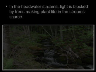 • In the headwater streams, light is blocked
by trees making plant life in the streams
scarce.
 