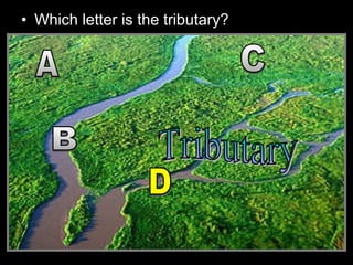 • Which letter is the tributary?
 