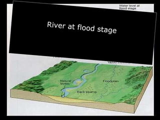 River at flood stage
 