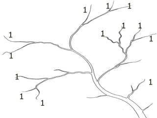 1
1
1
1
1
1
1
1
1
1 1
1 1
 