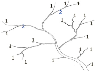 1
1
1
1
1
1
1
1
1
1
1 1
1
1
1 1
1 1
2
2
 