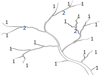 1
1
1
1
1
1
1
1
1
1
1 1
1
1
1 1
1 1
2
2
2 2
 