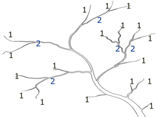 1
1
1
1
1
1
1
1
1
1
1 1
1
1
1 1
1 1
2
2
2 2
2
2
 