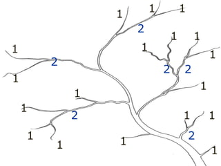 1
1
1
1
1
1
1
1
1
1
1 1
1
1
1 1
1 1
2
2
2 2
2
2
2
 