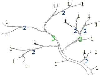 1
1
1
1
1
1
1
1
1
1
1 1
1
1
1 1
1 1
2
2
2 2
2
2
2
3 3
 