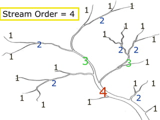 1
1
1
1
1
1
1
1
1
1
1 1
1
1
1 1
1 1
2
2
2 2
2
2
2
3 3
4
Stream Order = 4
 
