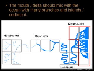 • The mouth / delta should mix with the
ocean with many branches and islands /
sediment.
Copyright © 2010 Ryan P. Murphy
 