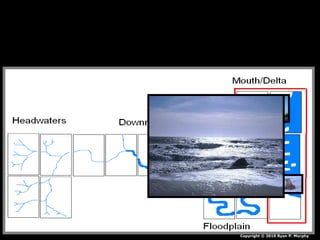 Copyright © 2010 Ryan P. Murphy
 