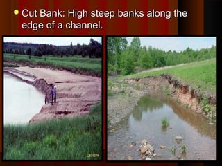 Cut Bank: High steep banks along theCut Bank: High steep banks along the
edge of a channel.edge of a channel.
 