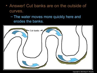 • Answer! Cut banks are on the outside of
curves.
– The water moves more quickly here and
erodes the banks.
Cut-
bank
Copyright © 2010 Ryan P. Murphy
 