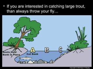 • If you are interested in catching large trout,
than always throw your fly…
Copyright © 2010 Ryan P. Murphy
 