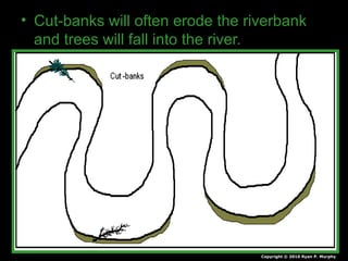 • Cut-banks will often erode the riverbank
and trees will fall into the river.
Copyright © 2010 Ryan P. Murphy
 