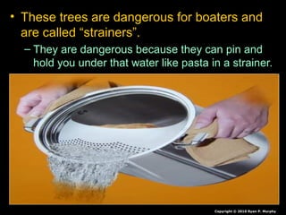 • These trees are dangerous for boaters and
are called “strainers”.
– They are dangerous because they can pin and
hold you under that water like pasta in a strainer.
Copyright © 2010 Ryan P. Murphy
 