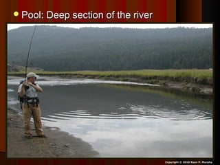 Pool: Deep section of the riverPool: Deep section of the river
Copyright © 2010 Ryan P. Murphy
 