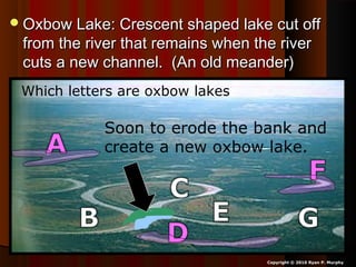Oxbow Lake: Crescent shaped lake cut offOxbow Lake: Crescent shaped lake cut off
from the river that remains when the riverfrom the river that remains when the river
cuts a new channel. (An old meander)cuts a new channel. (An old meander)
Copyright © 2010 Ryan P. Murphy
Which letters are oxbow lakes?
Soon to erode the bank and
create a new oxbow lake.
 