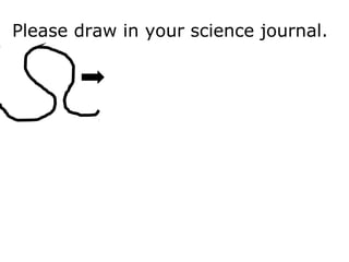 Please draw in your science journal.
 