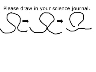 Please draw in your science journal.
 