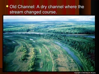Old Channel: A dry channel where theOld Channel: A dry channel where the
stream changed course.stream changed course.
Copyright © 2010 Ryan P. Murphy
 