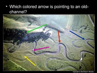 • Which colored arrow is pointing to an old-
channel?
Copyright © 2010 Ryan P. Murphy
 