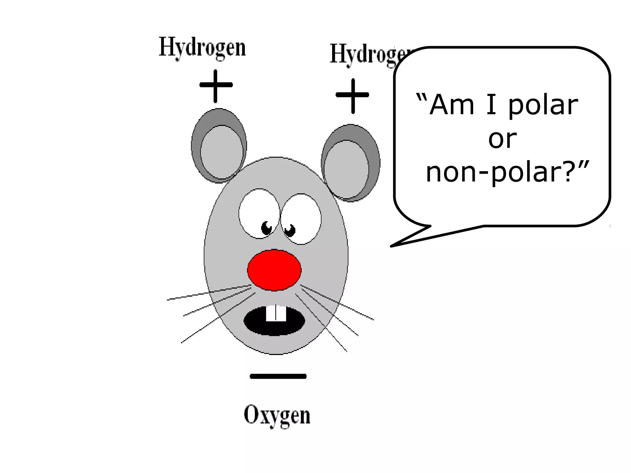 “Am I polar
or
non-polar?”
 