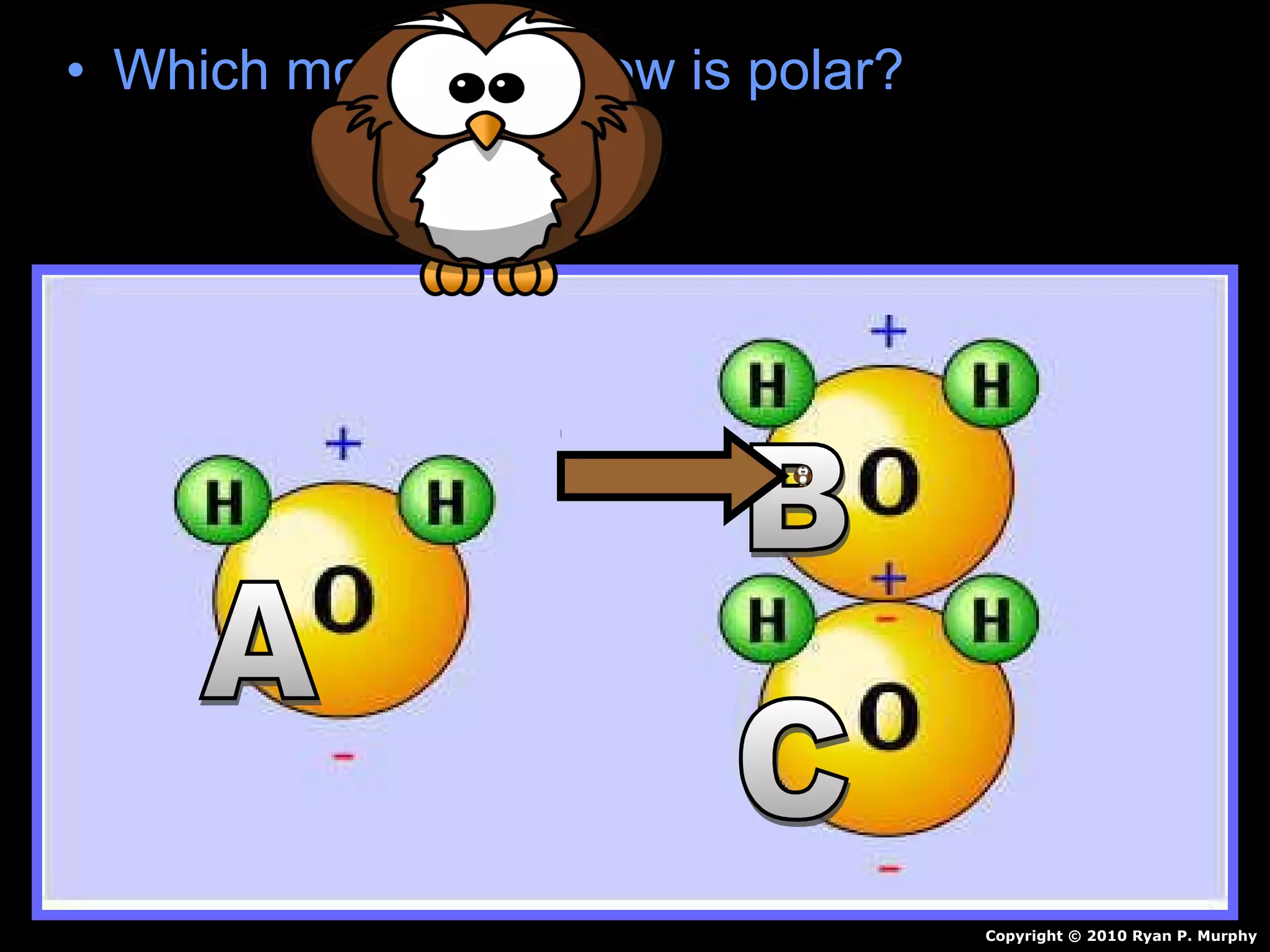 • Which molecule below is polar?Which molecule below is polar?
Copyright © 2010 Ryan P. Murphy
 