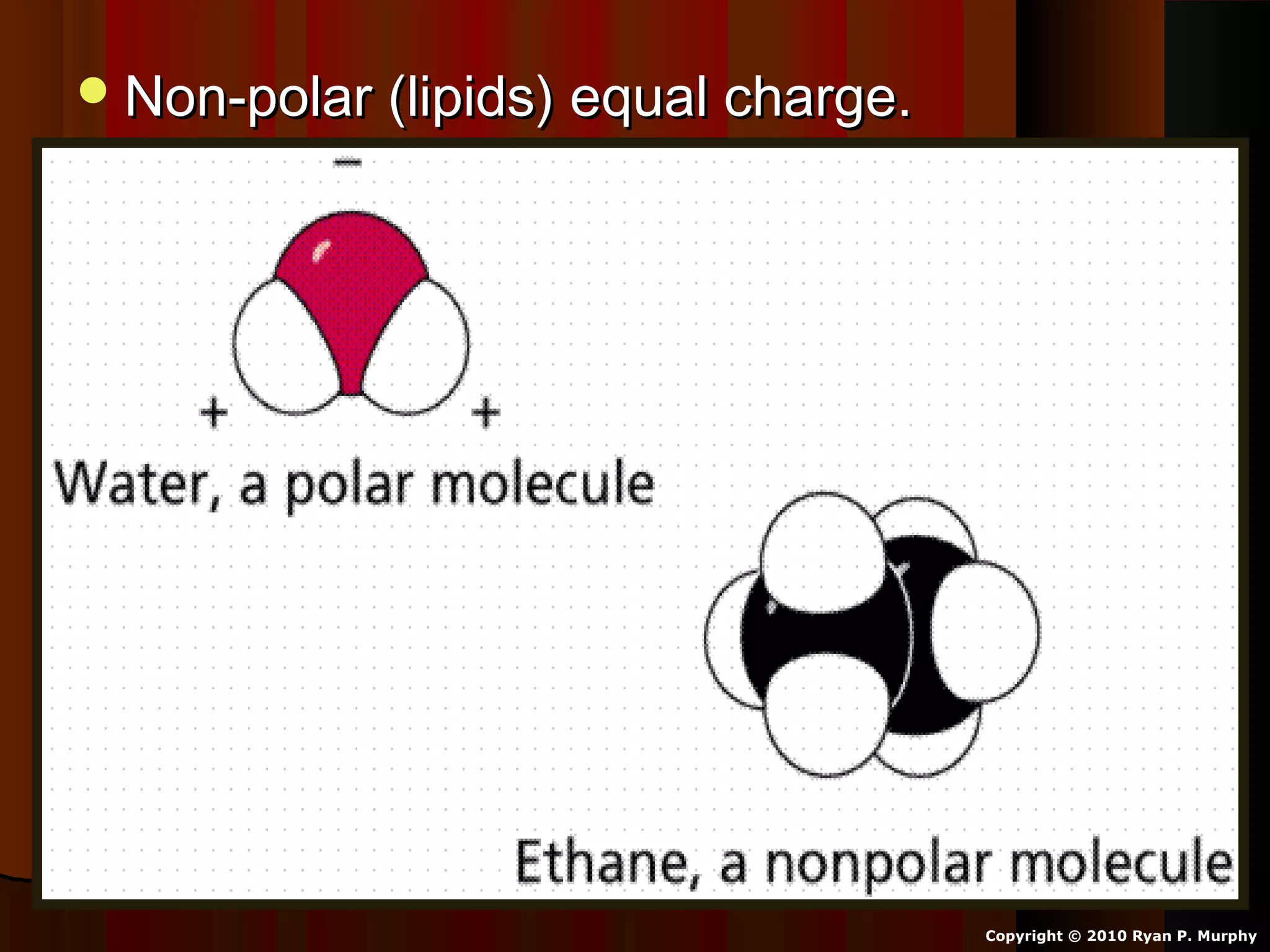 Non-polar (lipids) equal charge.Non-polar (lipids) equal charge.
Copyright © 2010 Ryan P. Murphy
 