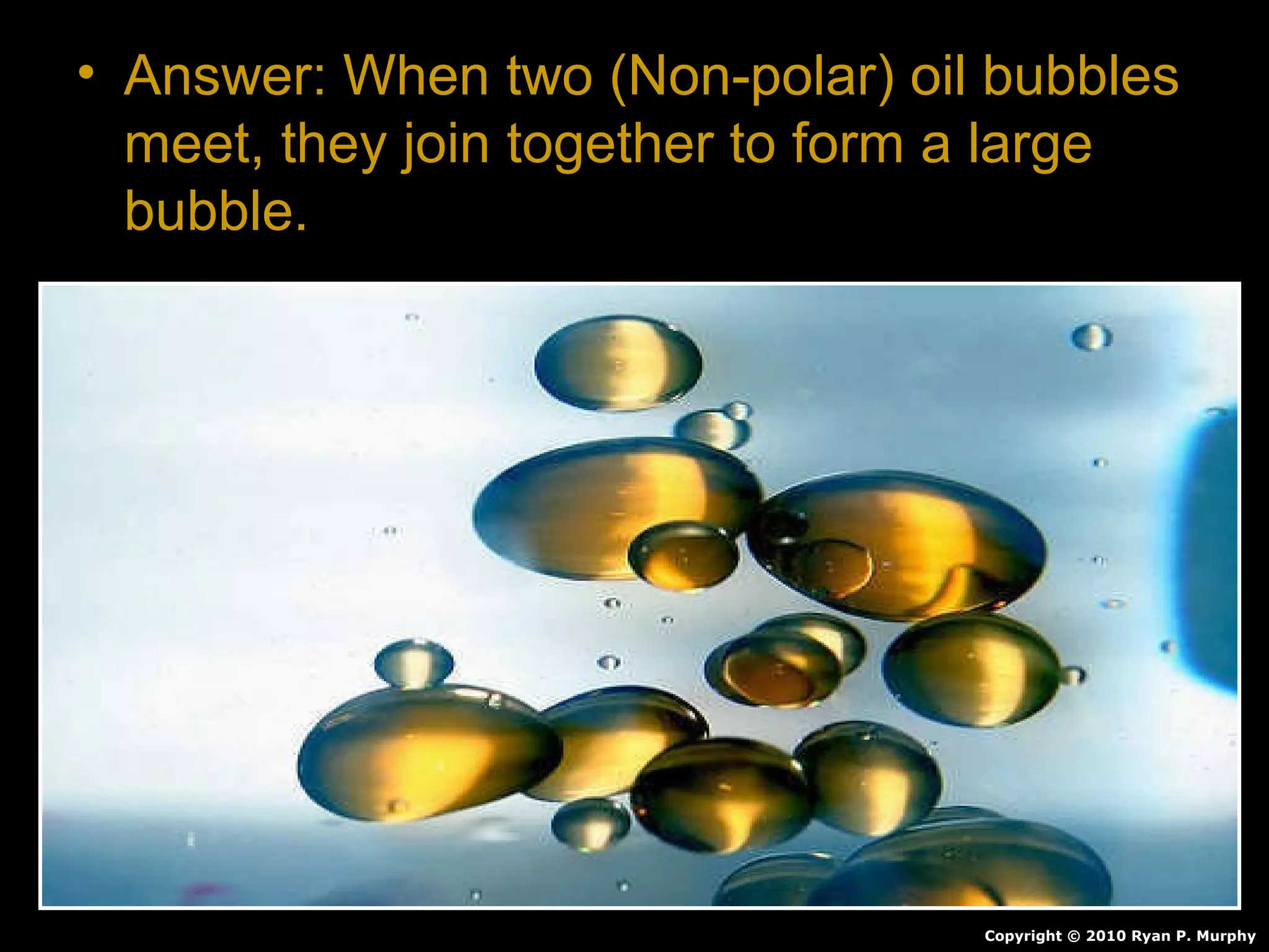 • Answer: When two (Non-polar) oil bubbles
meet, they join together to form a large
bubble.
Copyright © 2010 Ryan P. Murphy
 