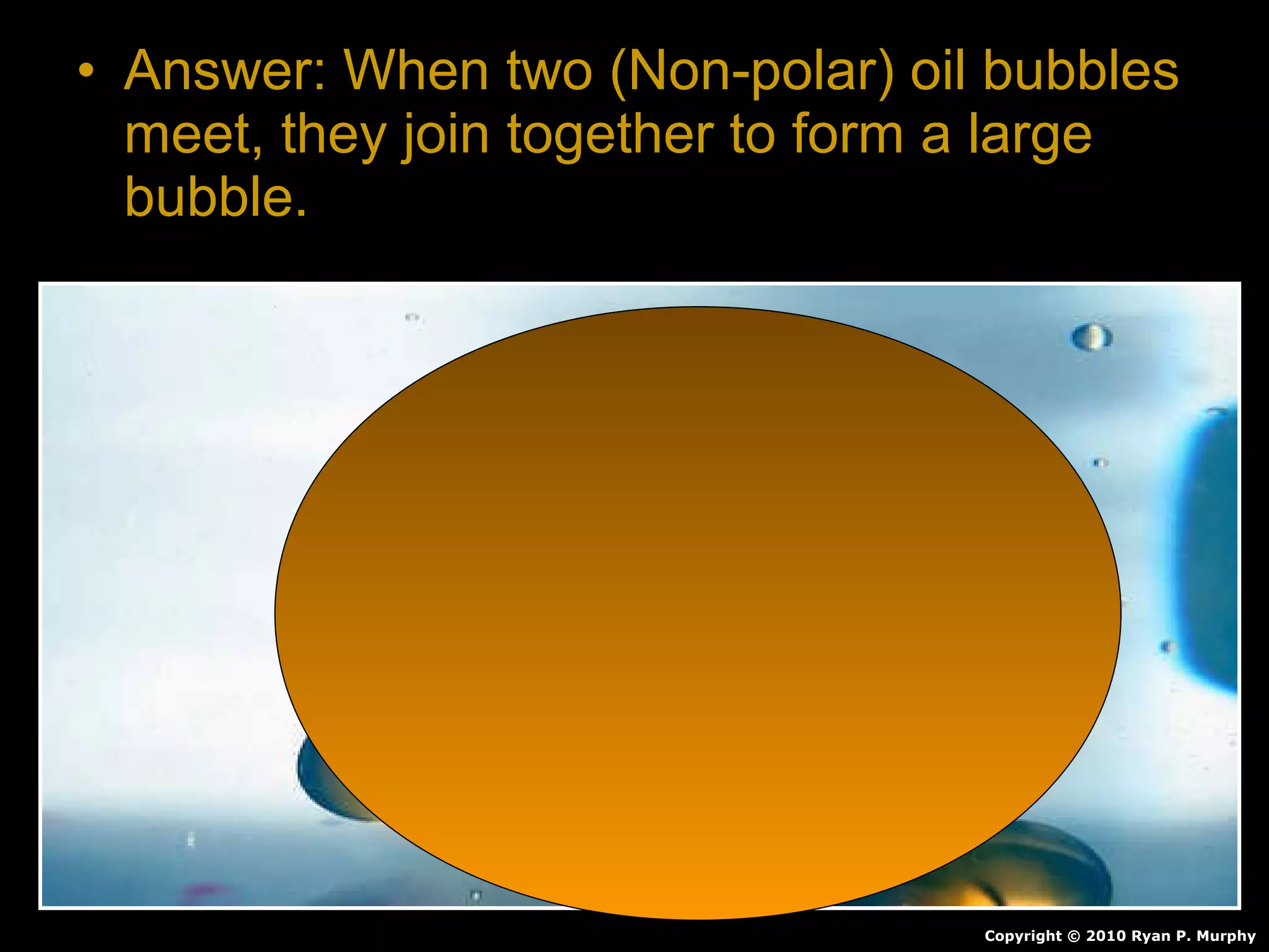 • Answer: When two (Non-polar) oil bubbles
meet, they join together to form a large
bubble.
Copyright © 2010 Ryan P. Murphy
 