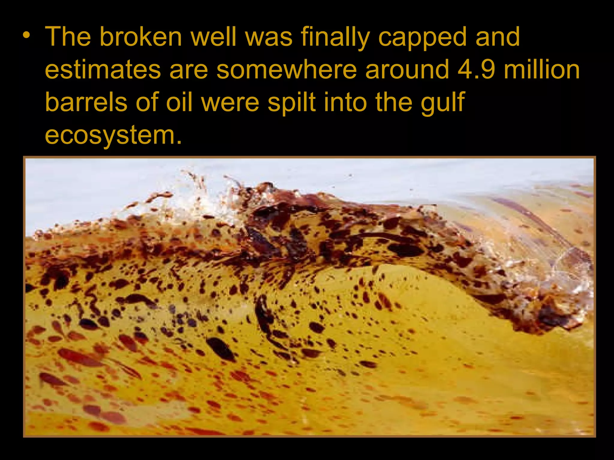 • The broken well was finally capped and
estimates are somewhere around 4.9 million
barrels of oil were spilt into the gulf
ecosystem.
– 11 People lost their life in the explosion.
– The spill caused extensive damage to marine
and wildlife habitats and to the Gulf's fishing and
tourism industries.
 