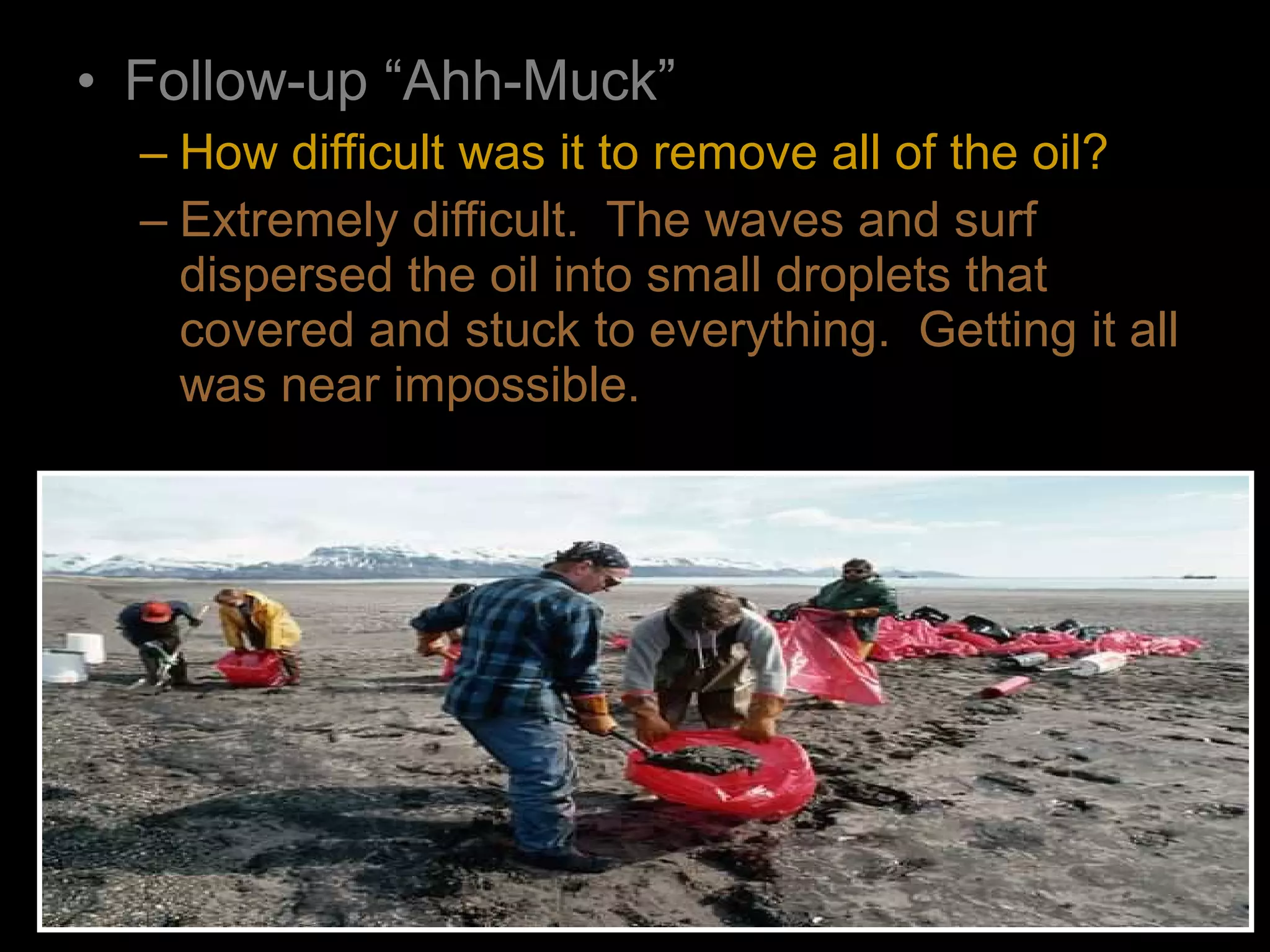 • Follow-up “Ahh-Muck”
– How difficult was it to remove all of the oil?
– Extremely difficult. The waves and surf
dispersed the oil into small droplets that
covered and stuck to everything. Getting it all
was near impossible.
 