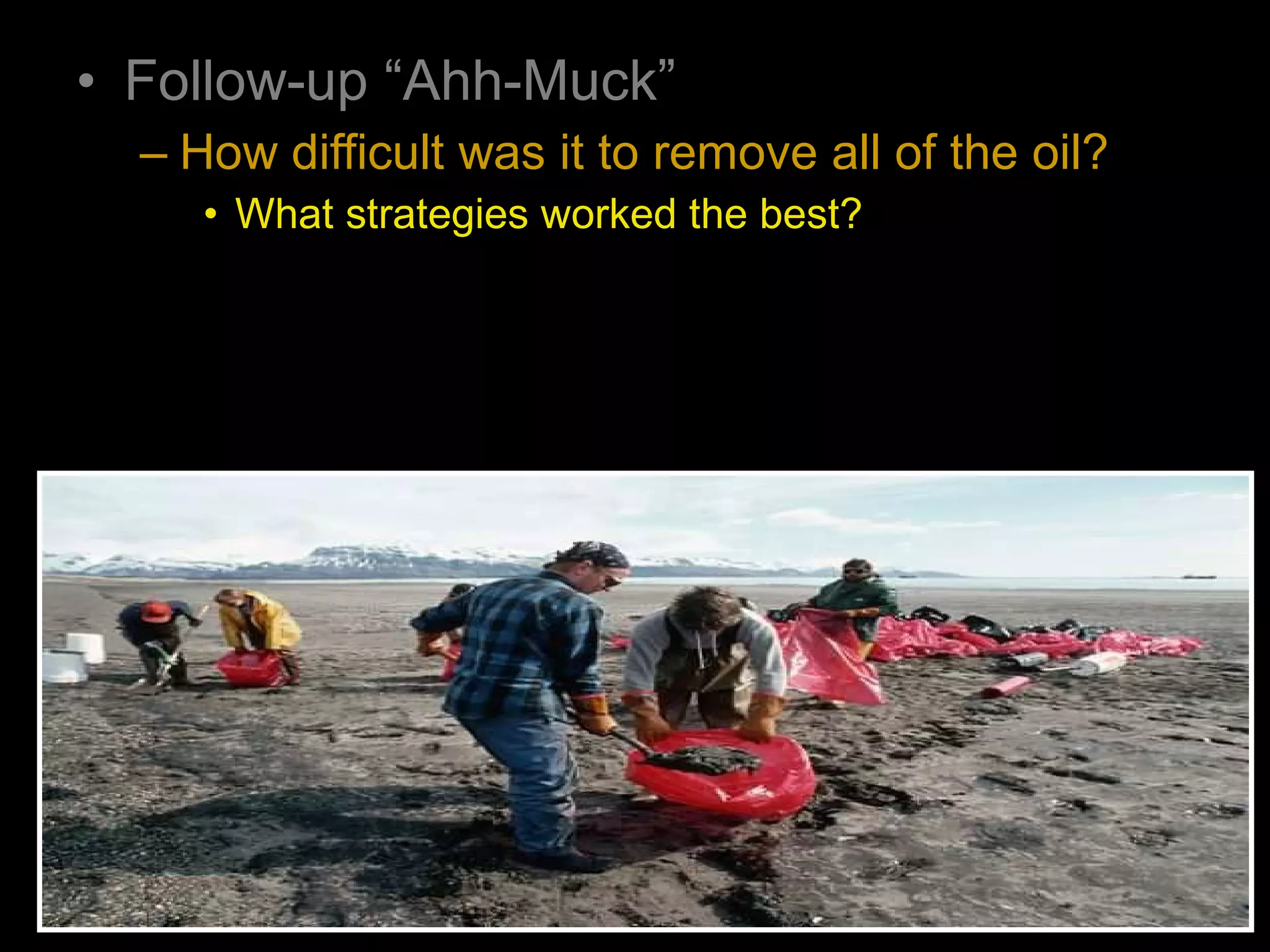 • Follow-up “Ahh-Muck”
– How difficult was it to remove all of the oil?
• What strategies worked the best?
 